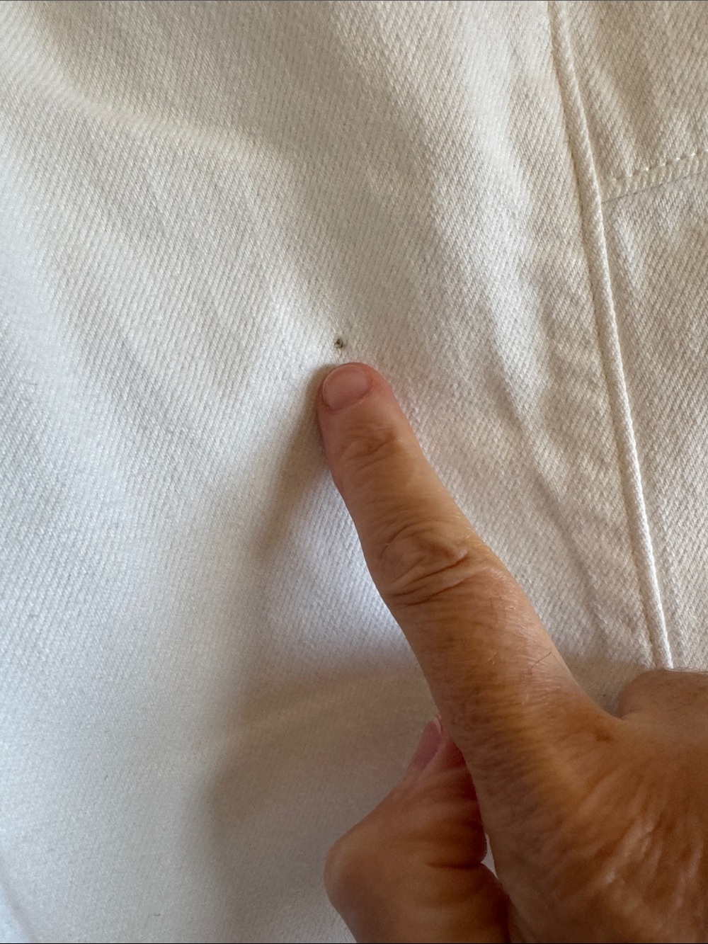 Pilcro Cream wide-leg crop - Picture 5 of 8